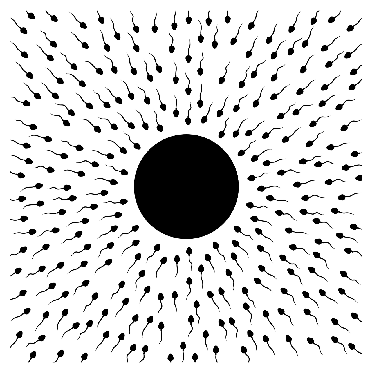 Sperm swimming towards egg