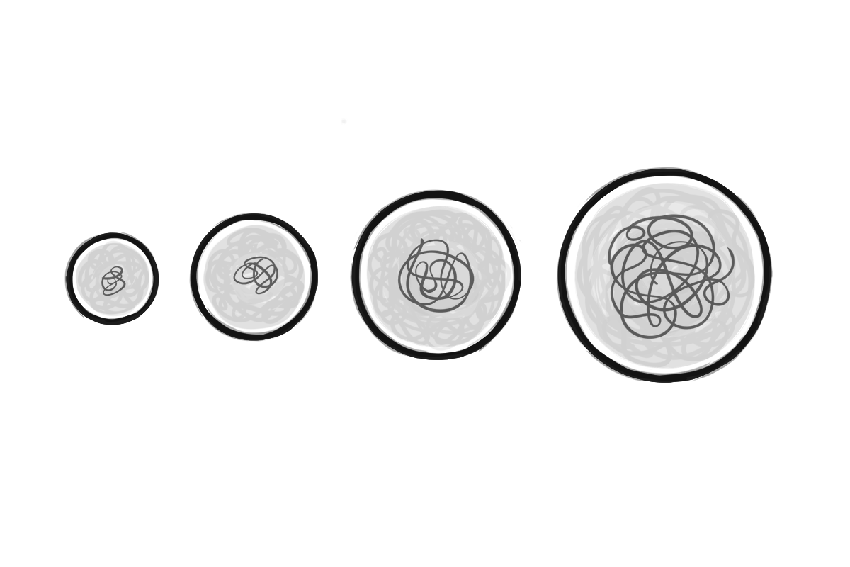 Zygote, embryo, blastocyst and foetus (scribbles)