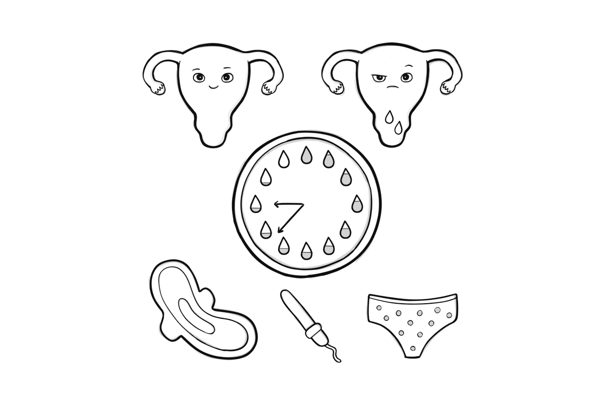 Menstrual cycle "clock"