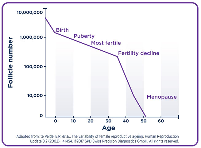 Follicle count chart