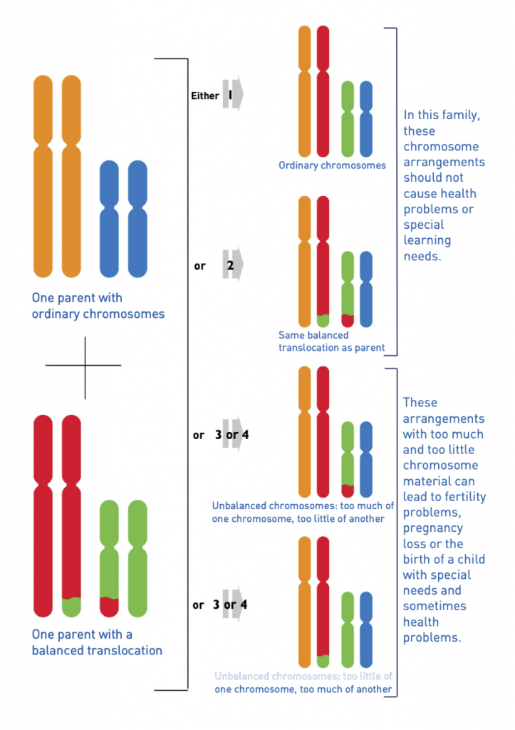 Potential outcomes if you have balanced translocations
