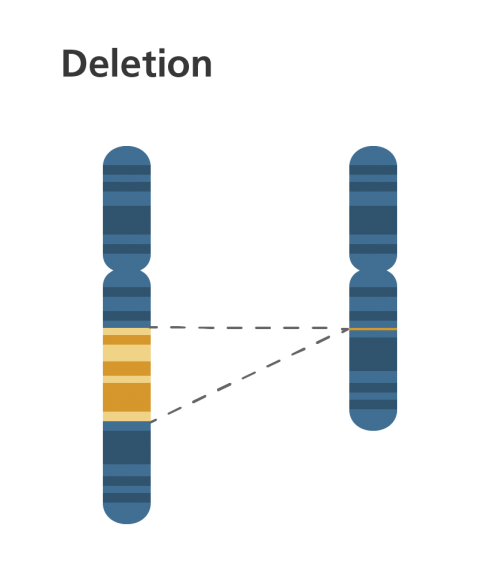 Chromosomal deletion